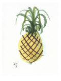 Buy Pineapple at AllPosters.com