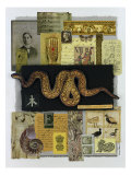 Buy Terra Incognita at AllPosters.com