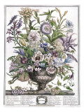 Buy September at AllPosters.com
