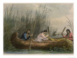 Buy Gathering Wild Rice at AllPosters.com