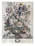 Buy June at AllPosters.com