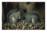 Buy Les Gloutons at AllPosters.com