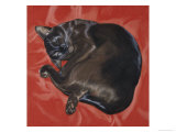 Velvet Cat I (Chat Velours I)