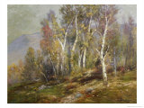Buy Autumn Birches in the Catskills at AllPosters.com