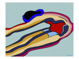 Buy Exercise Figure at AllPosters.com