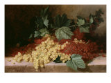 Buy Still Life with Currants at AllPosters.com