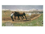 Plowing in the Engadin