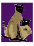 Siamese Cats
