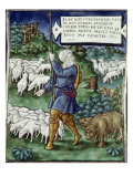 Buy The Bad Shepard at AllPosters.com