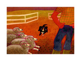 Buy Sheep Dog Trial at AllPosters.com