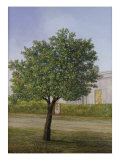 Buy Naranjo En Flor at AllPosters.com