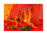 Roo Herd