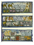Buy Noah's Ark at AllPosters.com