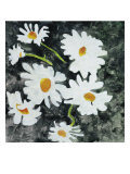 Buy Flowers #2 at AllPosters.com