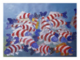 Buy School of Betsy Ross at AllPosters.com