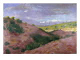 Zuni Desert