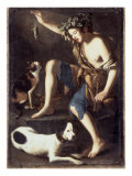 Buy Young Shepherd Playing with a Cat at AllPosters.com