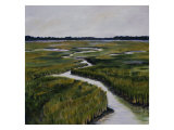 Marshes I
