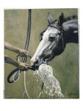 Buy Watering at AllPosters.com
