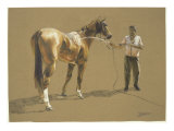 Buy Bathing Race Horse at AllPosters.com
