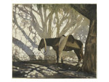 Buy Siesta at AllPosters.com