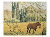 Buy Criollo de Los Andes at AllPosters.com
