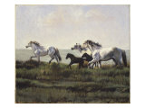 Buy Greys of the Camarguais at AllPosters.com
