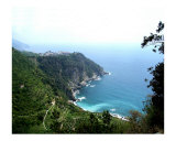 Cinque Terre Corniglia with vineyards