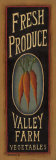 Buy Carrots at AllPosters.com