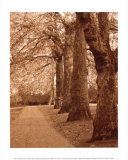Buy Autumn Stroll I at AllPosters.com