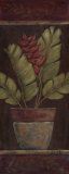 Global Bloom II