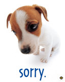 Sorry