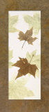 Buy Falling Leaves III at AllPosters.com