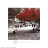 Buy Quiet Moments at AllPosters.com