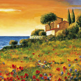 Sunlight Coast (detail)