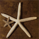 Starfish