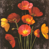 Buy Poppy Bouquet I at AllPosters.com