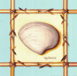 Bamboo Seashell II