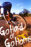 Buy Go Hard or Go Home at AllPosters.com