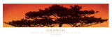 Buy Growth at AllPosters.com