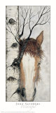 Buy Watchful at AllPosters.com