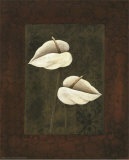 Buy Brazilian Baby I at AllPosters.com