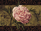 Everlasting II