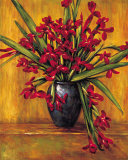 Buy Red Irises at AllPosters.com