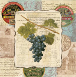 Wine Grapes I