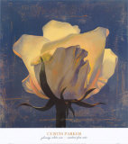 Buy Glowing White Rose at AllPosters.com