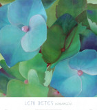 Buy Hydrangeas at AllPosters.com