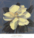 Buy Glowing Magnolia at AllPosters.com