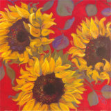 Sunflower I