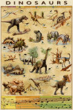 Dinosaurs by Species